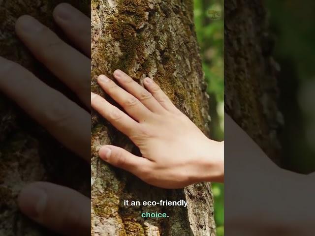 Did you know about wood?