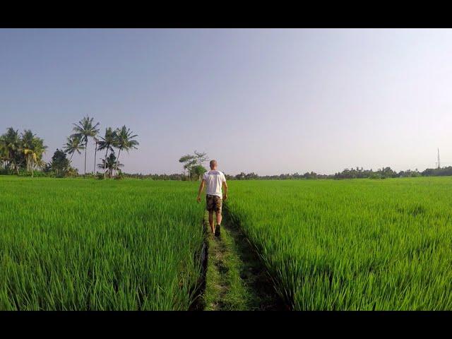 1 Month in Paradise on Earth | Bali, Indonesia 