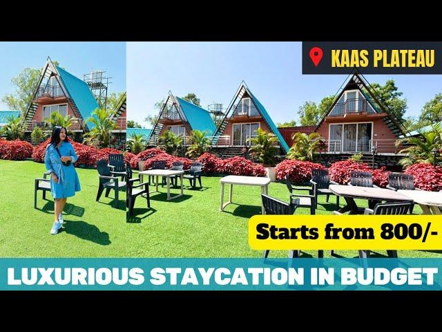 Luxurious Stays in Satara-Kaas | Budget Resort-Homestay with Valley View | Flower Valley