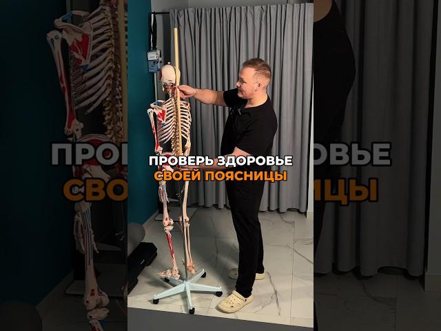 Здоровье твоей поясницы #больвпояснице #болитпоясница #гимнастика #здоровье