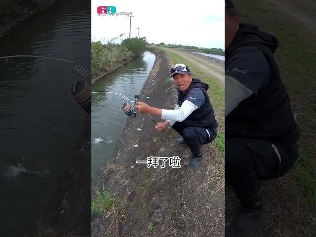 猛啊,釣不斷的釣竿...斷竿我賠,彈簧竿測試...凹到90度也不會斷,釣具店要倒光了?#Shorts
