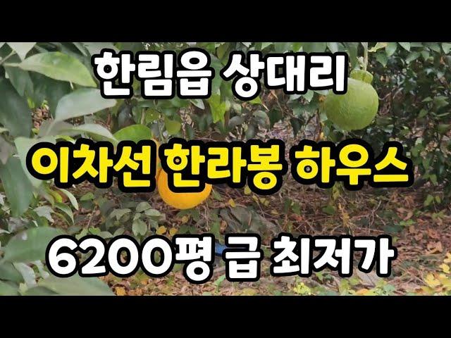 제주시 한림읍 상대리 이차선 한라봉 하우스 6200평 급 최저가 010 4436 0401 제주도부동산 토지 매매 급매물