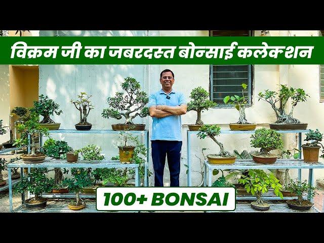 विक्रम जी का जबरदस्त बोन्साई कलेक्शन | 100+ Bonsai Collection  