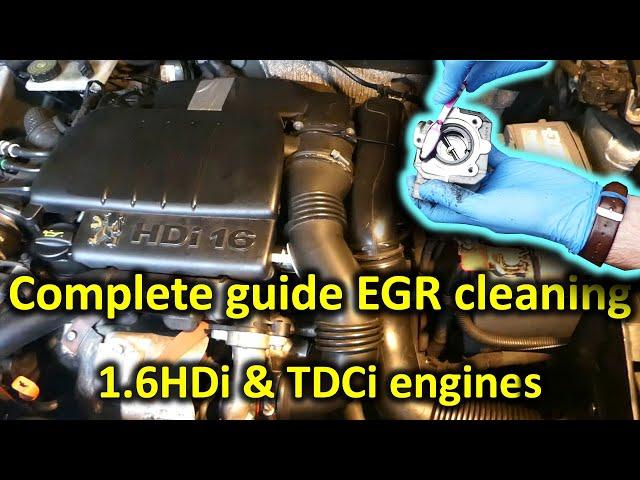 The complete guide to EGR cleaning (1.6HDi and 1.6TDCi engines)