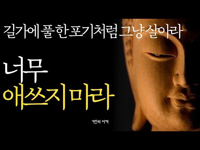 석가모니 명언 | 인생조언 |생각이 많고 예민한 사람|삶의 질을 높이는 방법|한 살이라도 어릴 때 이걸 하세요|매일 들으세요|삶이 힘들고 지칠 때| 부처님 불교 ASMR 수면