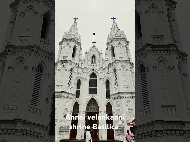 Annai velankanni Shrine Basilica