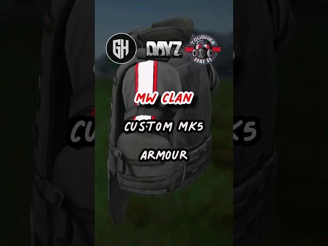 Custom Armour on Gamers Haven #dayz #dayzpc #dayzgaming #customgear #dayzpvp #dayzstandalone