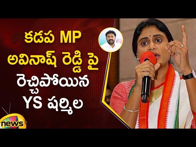 YS Sharmila Serious Comments On YS Avinash Reddy | Congress | YSRCP | AP Politics | Mango News