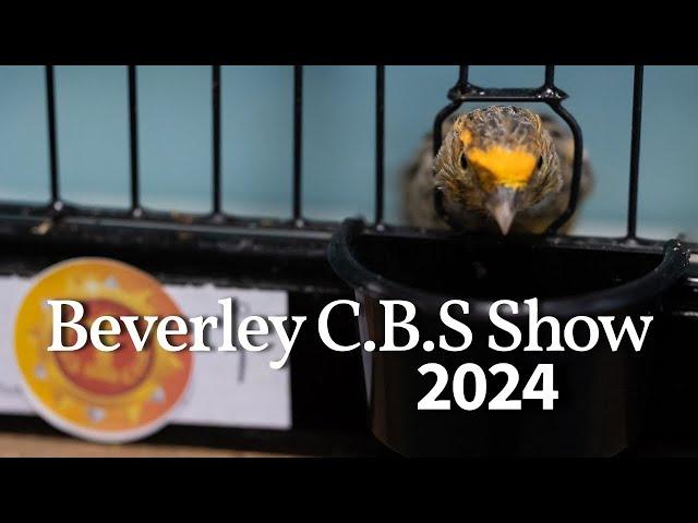 BEVERLEY C.B.S SHOW 2024