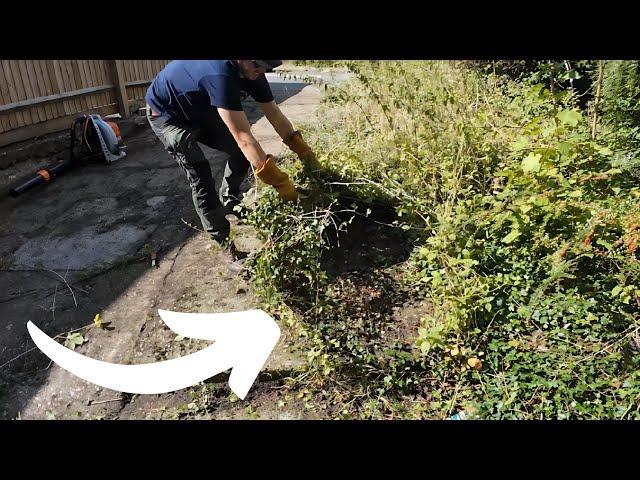 We Stepped In to Help a Single Mother Struggling To Maintain Her OVERGROWN Yard | Satisfying Results