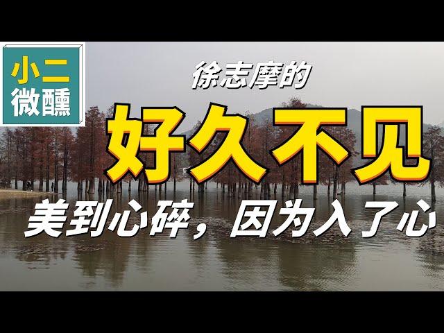 【小二微醺】徐志摩，《好久不见》，美到心碎，因为入了心