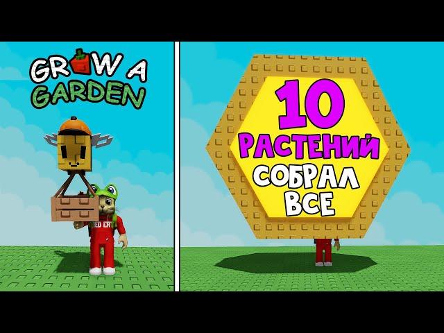 МЕГА ПЕТ + НОВЫЕ 10 РАСТЕНИЙ в игре Вырасти сад роблокс | Grow a Garden roblox | Обзор и цены