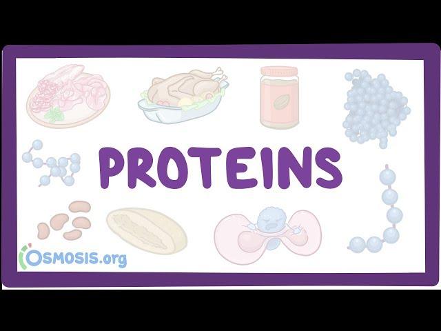 Proteins