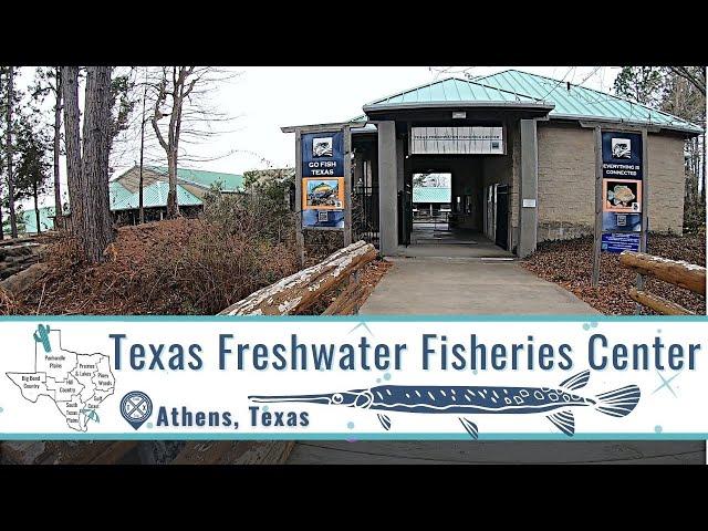 See the Impressive Texas Freshwater Fisheries Center | Athens, TX