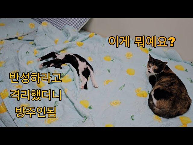 반성의 방이 너무 아늑했나?