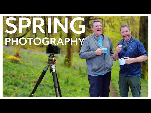 Landscape Photography In Spring (Woodland Magic)