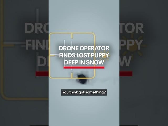 Drone operator finds puppy in deep snow using thermal technology