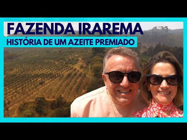 SEGREDOS DO AZEITE CAMPEÃO | IRAREMA