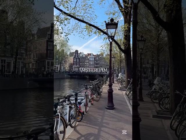 Amsterdam: The Heart of the Netherlands