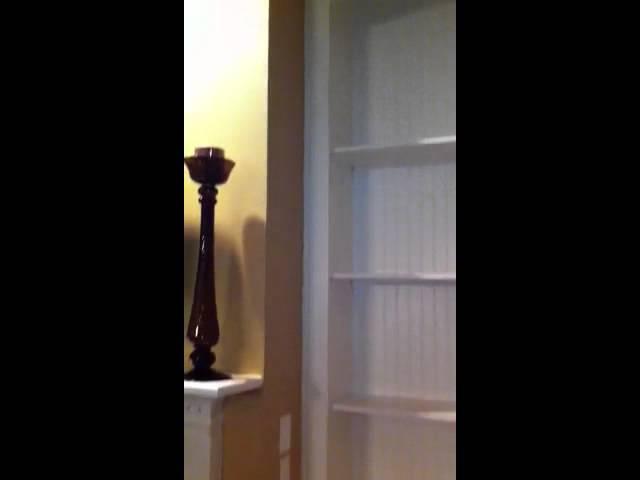 Custom bookcase cabinet