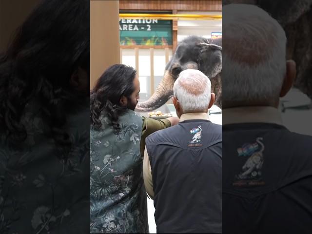 PM Modi visits world's largest wildlife animal hospital at Vantara in Jamnagar, Gujarat | #shorts