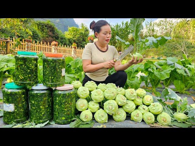 Harvest Vegetables to make pickles, Kohlrabi grown at home to sell at the market | Trieu Mai Huong.