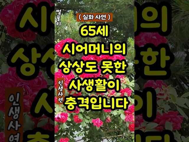 65세 시어머니의 상상도못한 사생활이 충격입니다#사연#실화사연#사생활#이혼#반전사연#고민상담#충격실화#시어머니