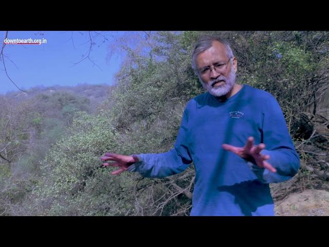 Aravalli : Story of a dying mountain range