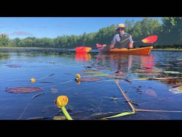 Paddle To Mount House 2023