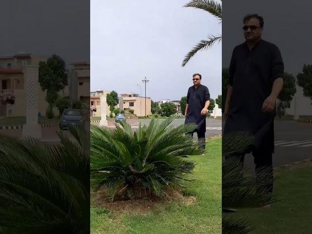 A Calm Walk in the Green with RJ Anees | #Shorts #nature #scenery