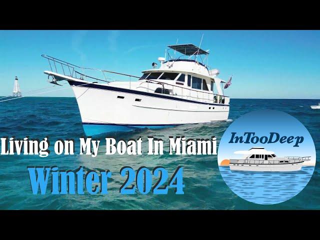 Living on a boat in Miami - My Winter in Two Hours