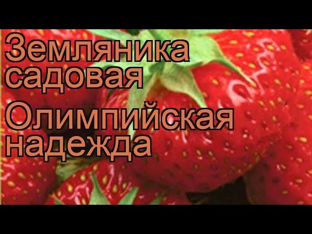 Земляника садовая Олимпийская надежда  обзор: как сажать, рассада земляники Олимпийская надежда