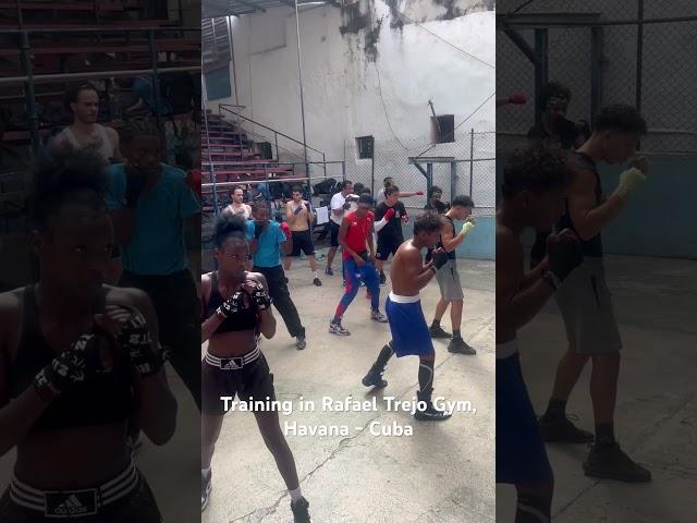 Boxing Camp - Training in Rafael Trejo Boxing gym, Hsvsna, Cuba.