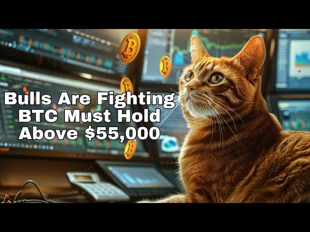 The Daily Update - Bulls Fighting. BTC Must Hold Above $55,000.