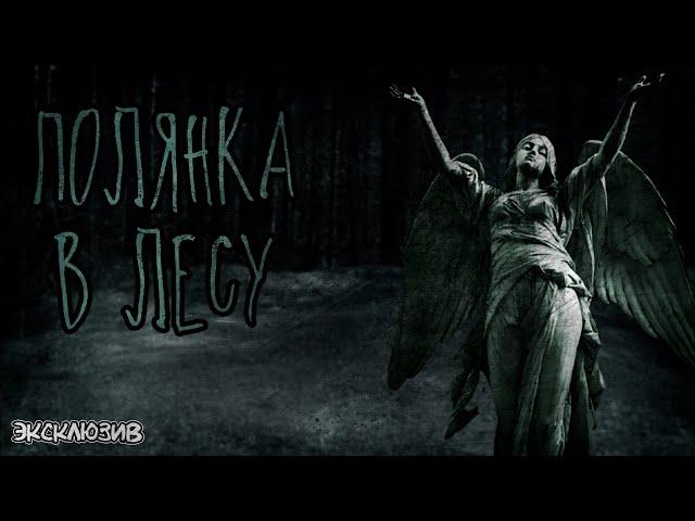 Страшные Истории - Полянка в лесу (Сергей Зимин)