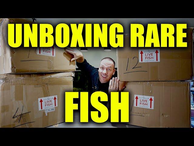 GIANT AQUARIUM FISH UNBOXING!!