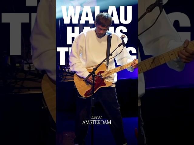 NOAH - Walau Habis Terang (Live) #shorts