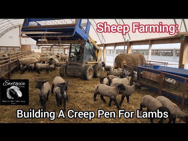 Sheep Farming: Building A Creep Pen For Lambs |April 2022