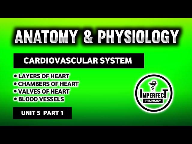 Cardiovascular System | Structure And Function Of Heart | Human Anatomy And Physiology | B Pharma