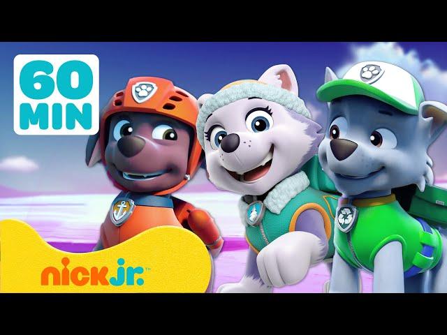 PAW Patrol | Wildrettungen mit Zuma, Everest und Rocky! | 60 Minuten | Nick Jr. Deutschland