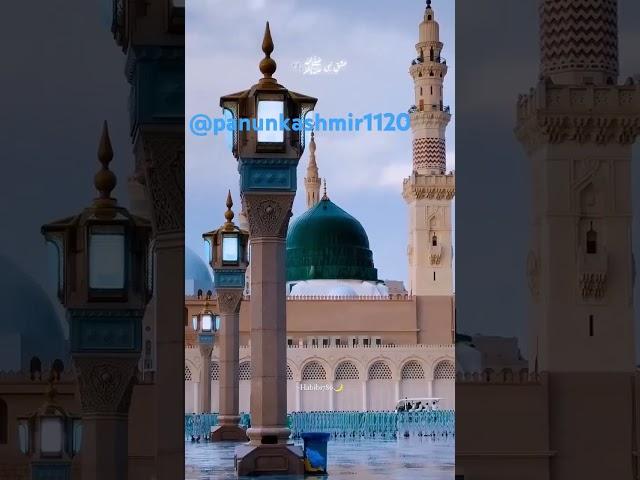 Noori#####gelyaa######..... O
