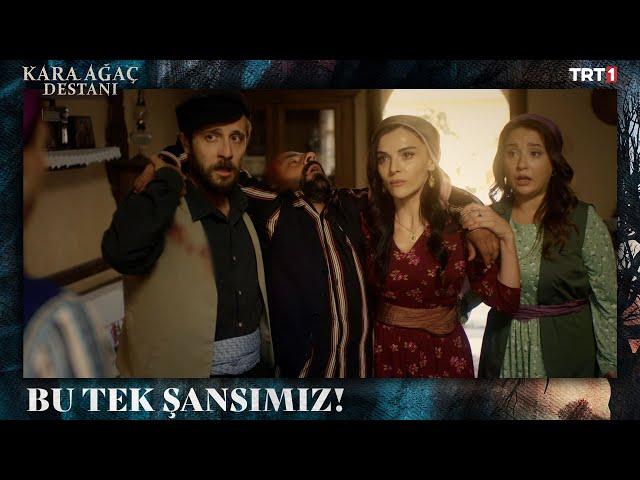 Konağın hanımlarının büyük planı- Kara Ağaç Destanı 19. Bölüm @trt1