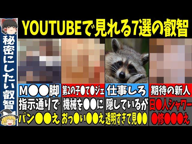 【えいち】日本人で第2の子育てガジェット通信登場! なぜか消されないのか分からない 秘密にしたくなる 叡智のYOUTUBEチャンネル7選 @外国もあるよ【ゆっくり解説】