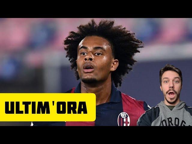 ‼️ULTIM'ORA ZIRKZEE! - Milan News Calciomercato - Andrea Longoni