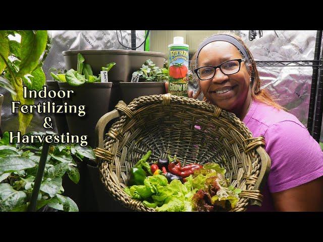 Fertilizing and Harvesting Indoor Garden