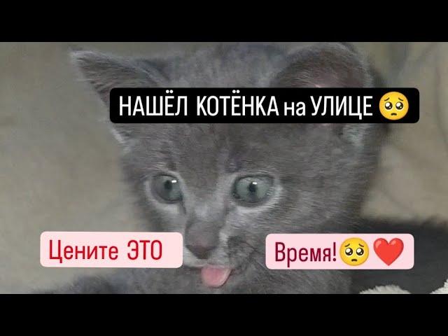 НАШЁЛ КОТЁНКА на УЛИЦЕ  Цените Это Время!️