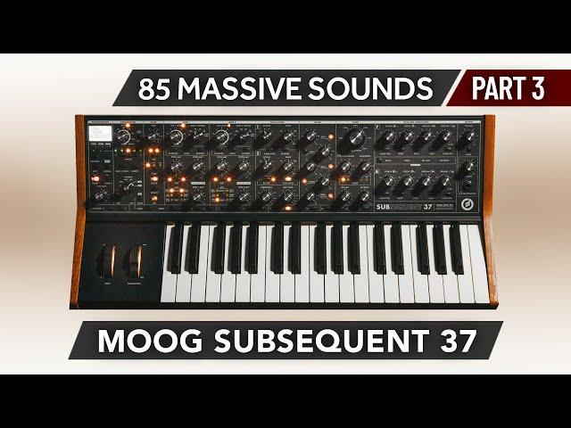 MOOG SUB 37 / SUBSEQUENT 37   85 Massive Sounds ► SUPER MASSIVE - PT.3