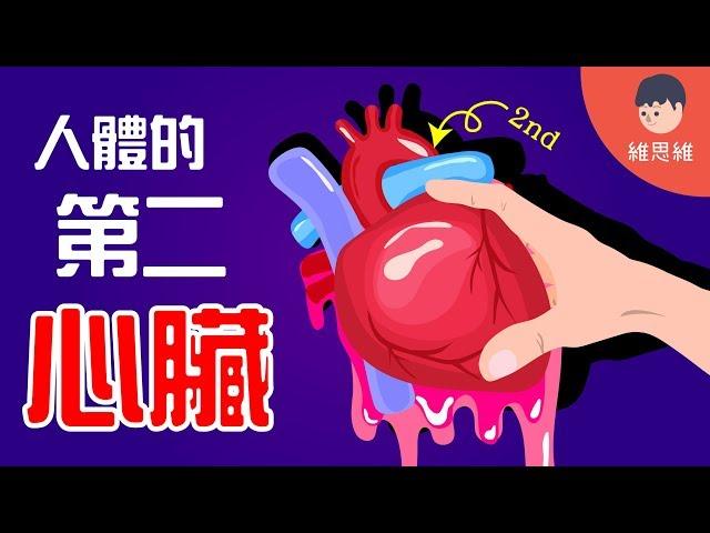 The Second Heart of the body! Tips to Keep Your Heart Healthy! (English Subtitles) | WeisWay