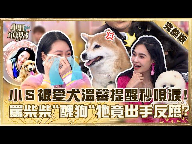 鏟屎官無極限？小Ｓ被愛犬提醒「要好好吃飯」秒噴淚！罵柴柴「醜狗」牠竟出手反應？【#小姐不熙娣】20230302 完整版 EP251 阿楞 Nana