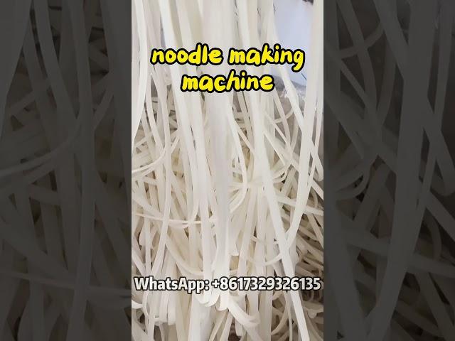 Efficient Noodle Production Made Simple - Noodle Making Machine Tutorial #foodprocessing #noodles